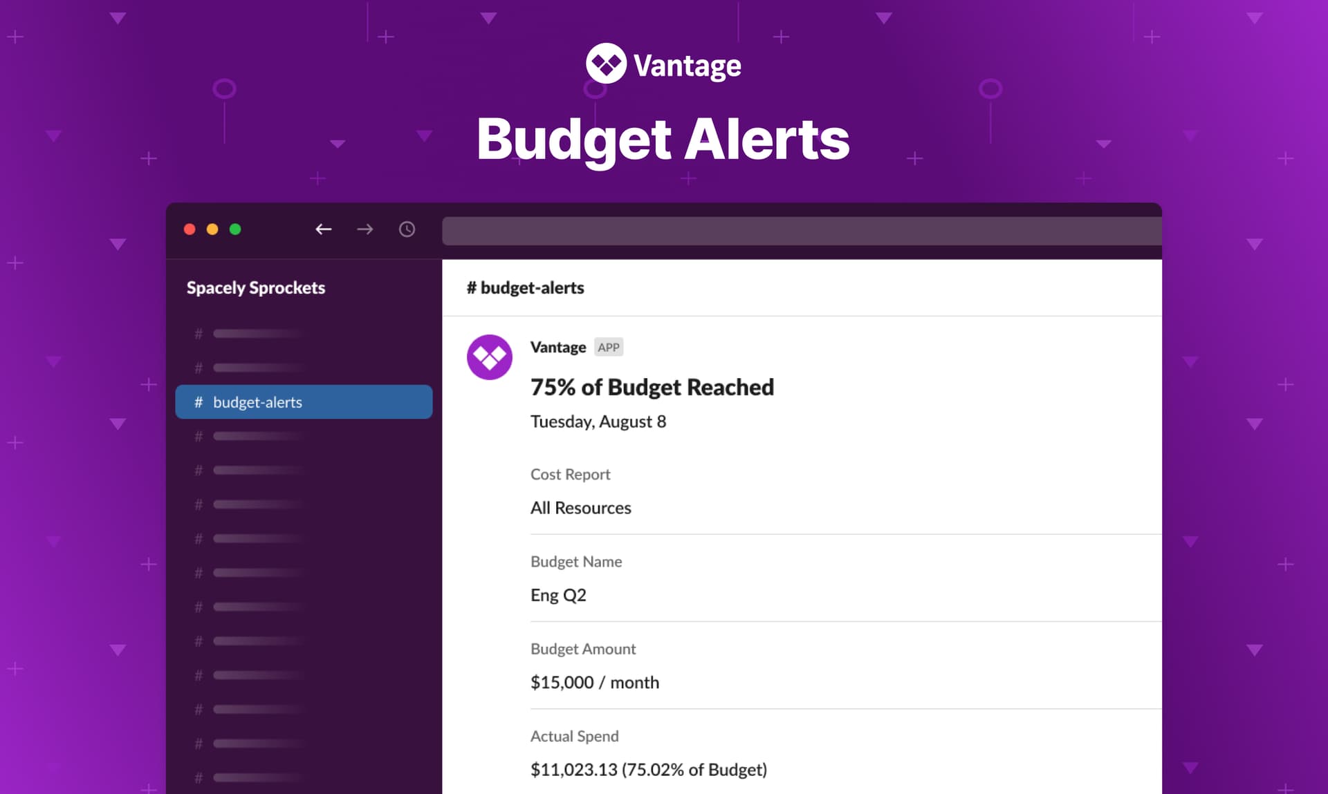 Vantage Launches Budget Alerts